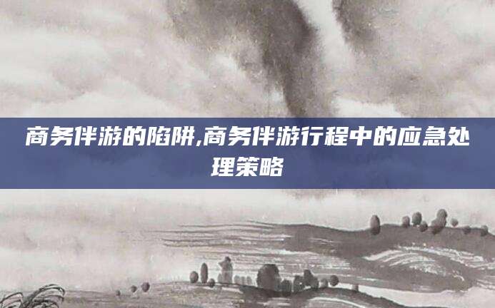 河间商务伴游的陷阱,商务伴游行程中的应急处理策略